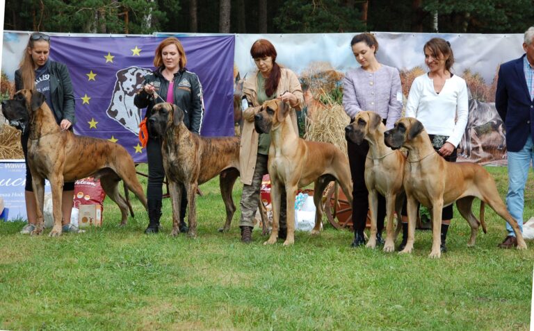 EuDDC 2022 Wawrzkowizna