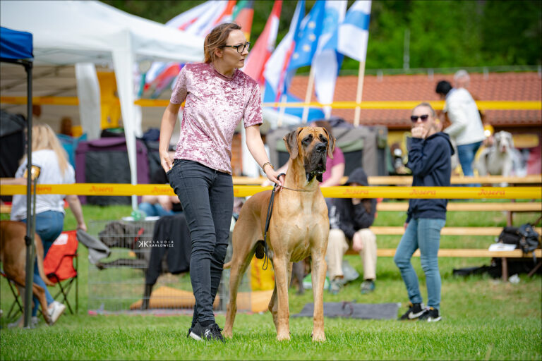 Klubowa Wystawa Dogów Niemieckich           Bojna 2023 Słowacja