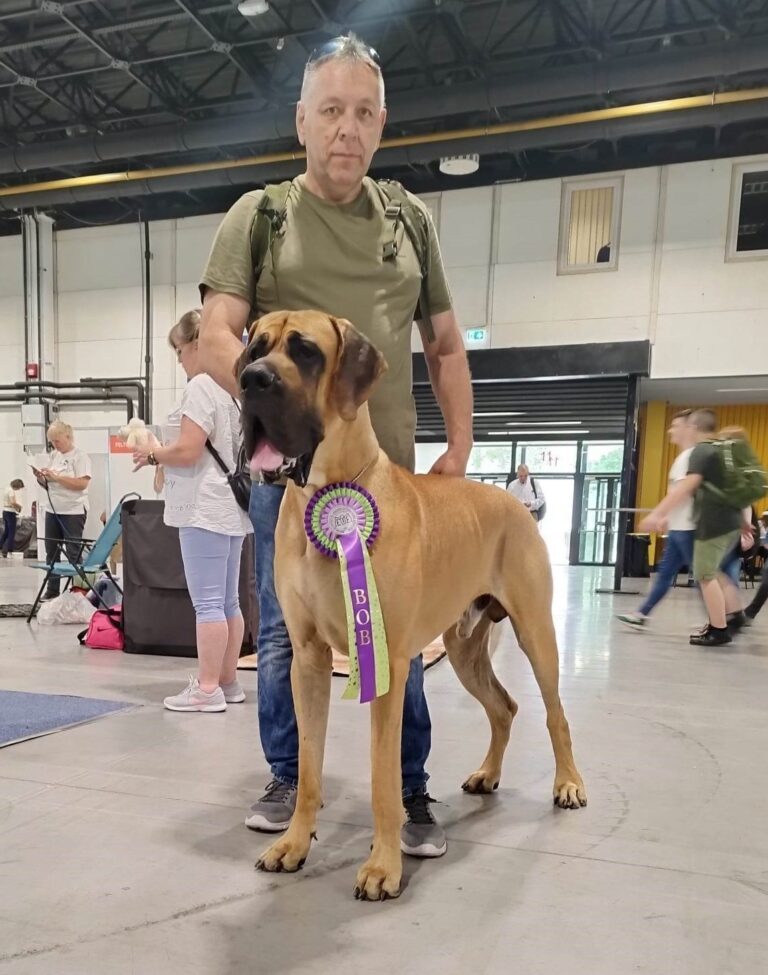 Budapest Grand Prix Winner Show 2023