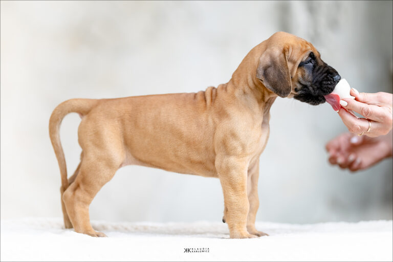 Nowy członek rodziny